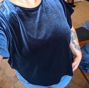 Madewell Velvet Top in Rich Blue